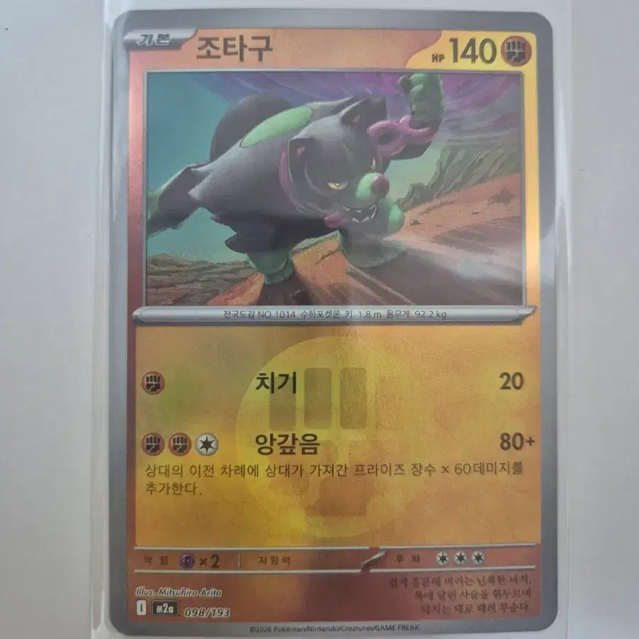 포켓몬카드 조타구 홀로