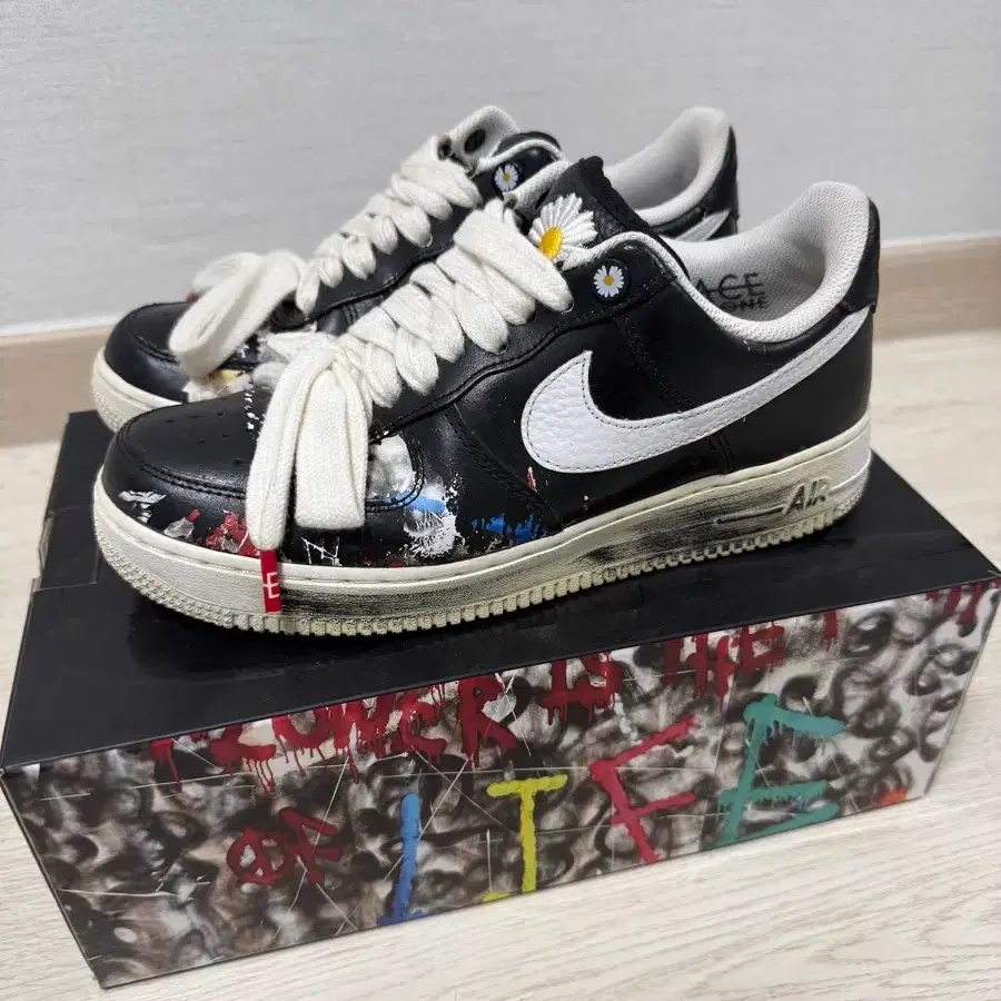 피마원1 (260mm) 팔아요