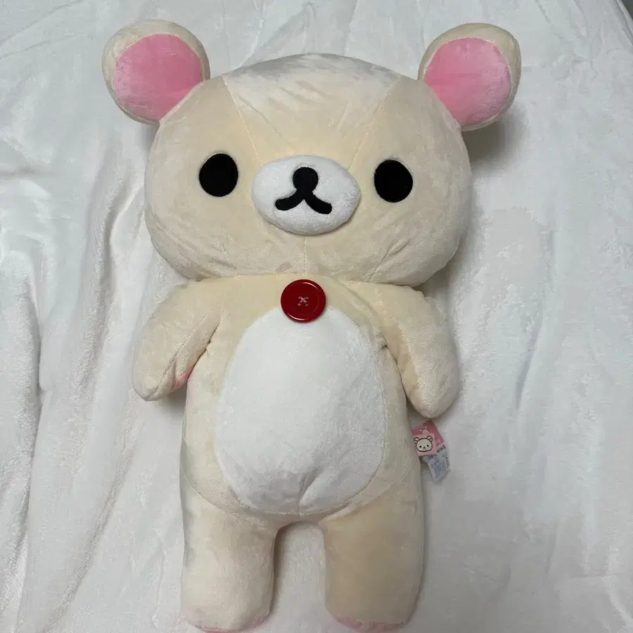 [인형] 코리락쿠마 대형 L 60cm 인형 개봉품