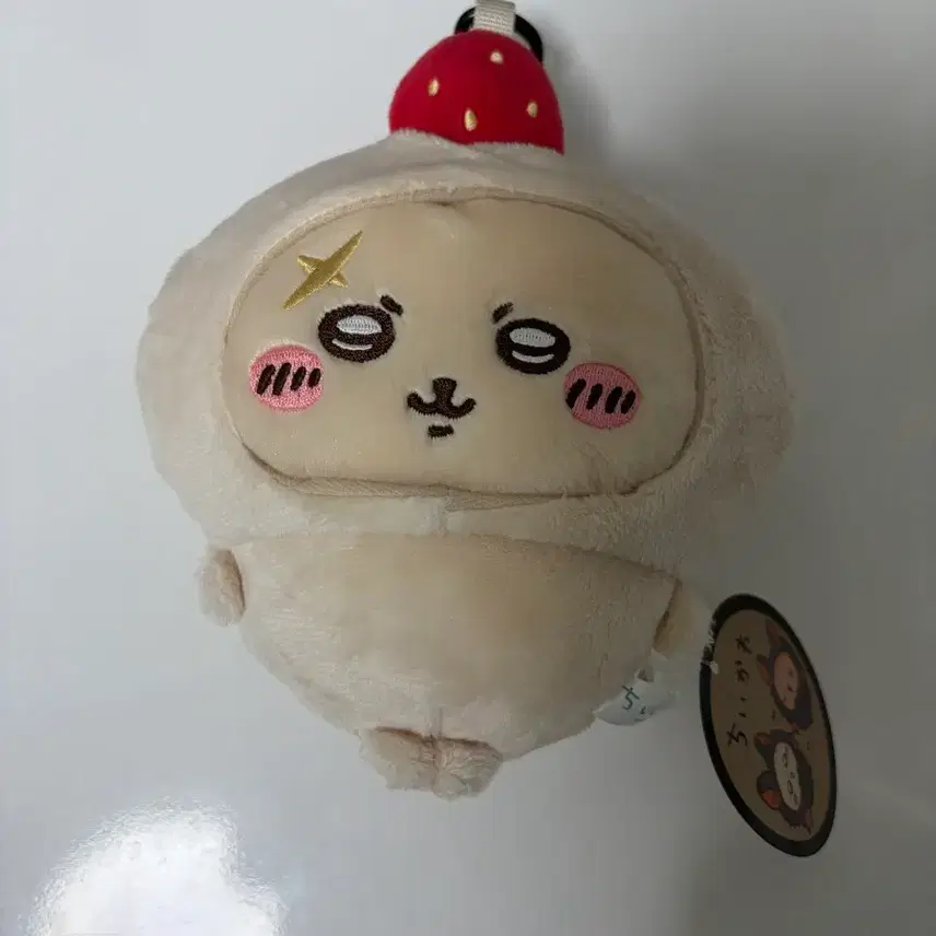 限定船ラッコポーチ販売です！