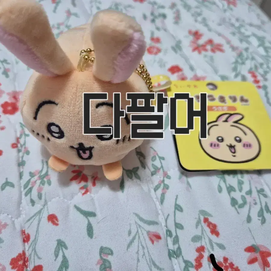우사기 모찌 코로링