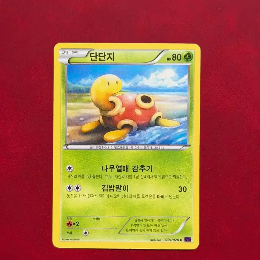 귀여운 고대 포켓몬 카드 단단지 HP80 xy