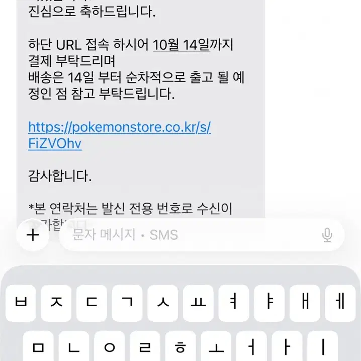 포켓몬 30주년 퓨처리스틱 정품