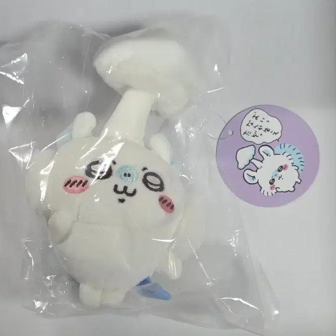 모몽가 기생버섯 현물