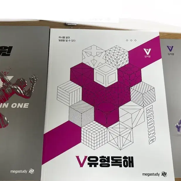 메가스터디 김지영 2027 V 올인원 2027 V 유형독해