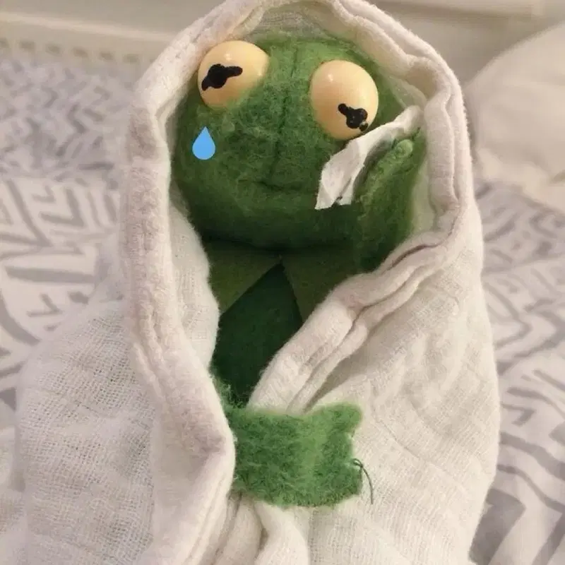 보이넥스트도어 보넥도 홈파티 쇼케이스 양도 받아요 구해요