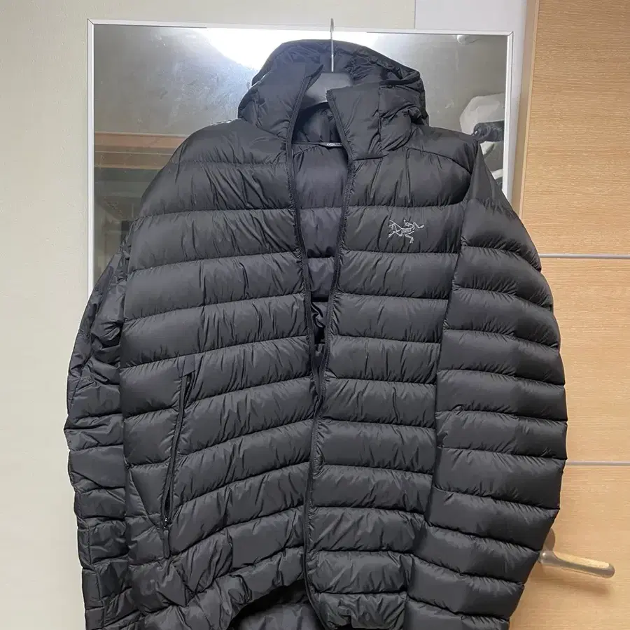 [L] 아크테릭스 세륨 후디 블랙