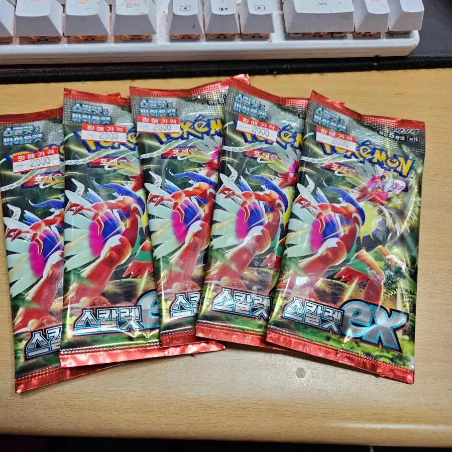 포켓몬카드 스칼렛ex 5팩 15000원