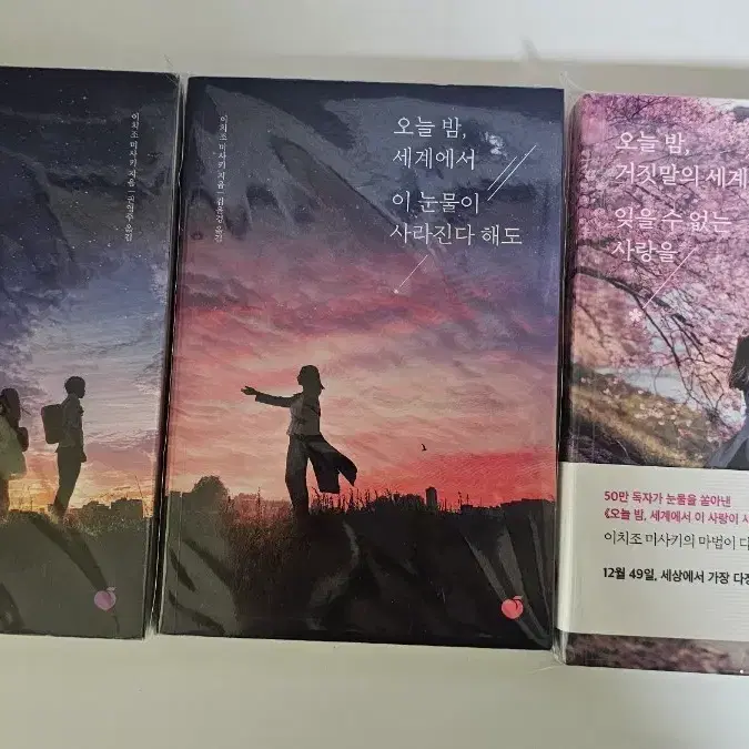 이치조 미사키 - 오늘 밤, 세계에서 이 사랑이 사라진다 해도, 이 눈물이 사라진다 해도, 거짓말의 세계에서 잊을 수 없는 사랑을