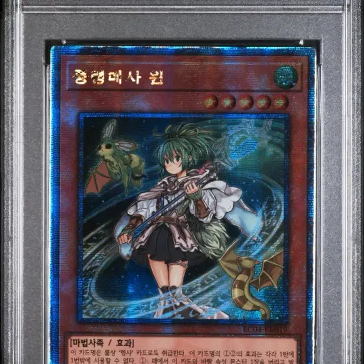 유희왕 25주년 QC 쿼싴 윈 히타 psa10 일괄