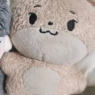 세븐틴 디노 인형 당찬수달 판매