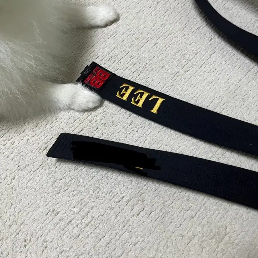 유도 다오띠 260