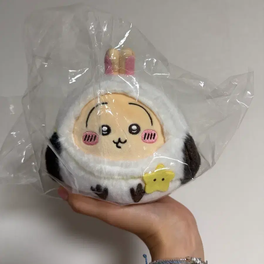 오타루 한정 뱁새 치이카와