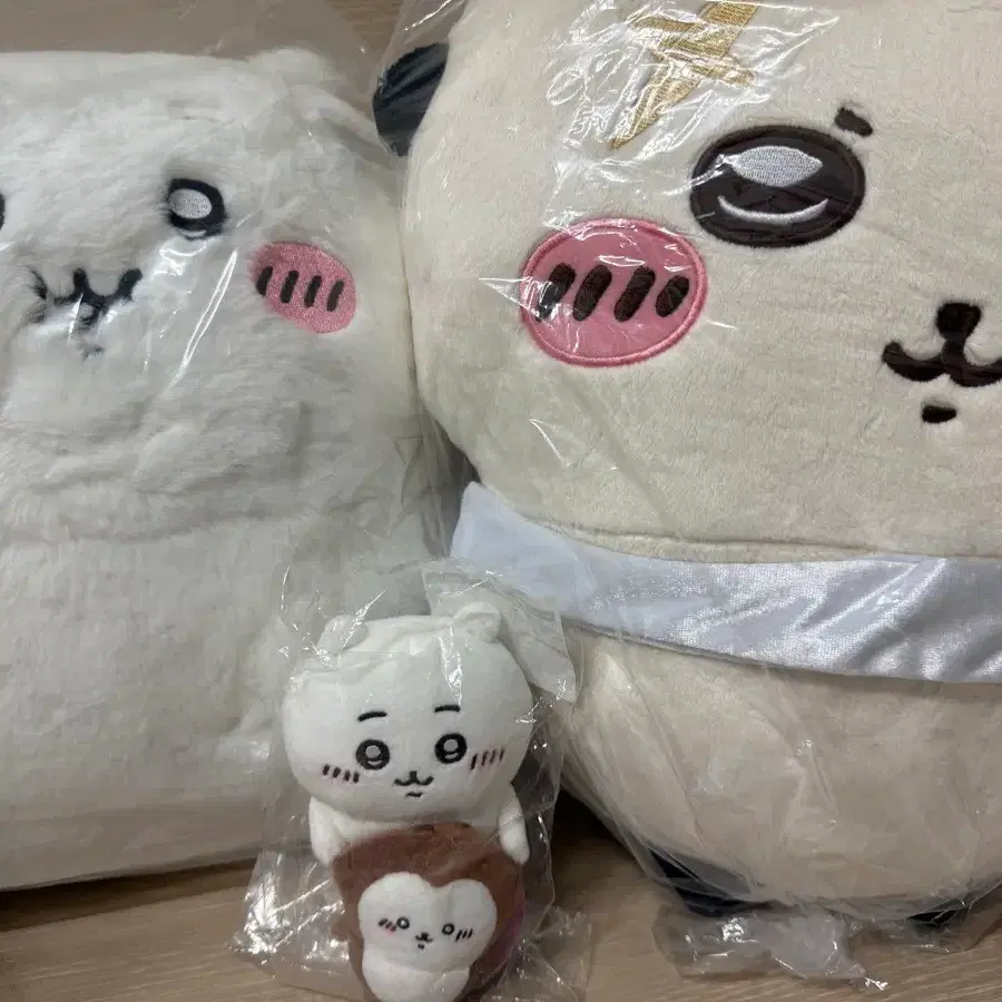 뚱치카와 대왕랏코 치이카와풍뎅이 일괄