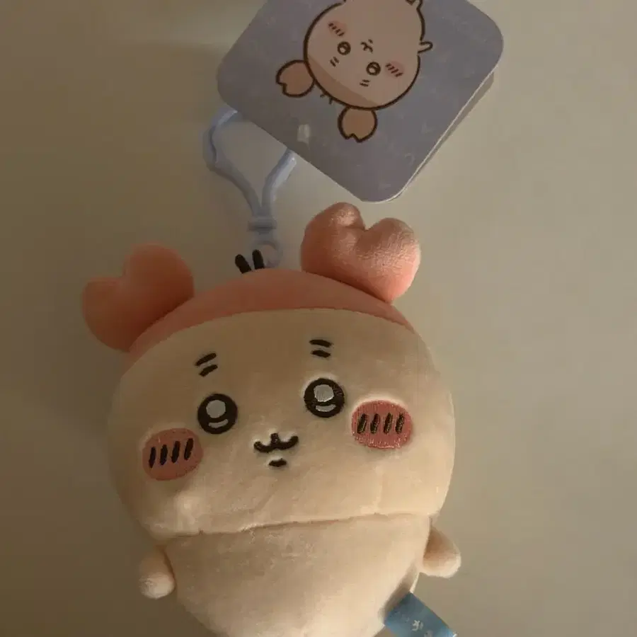 치이카와 카니 마루푸와 마스코트