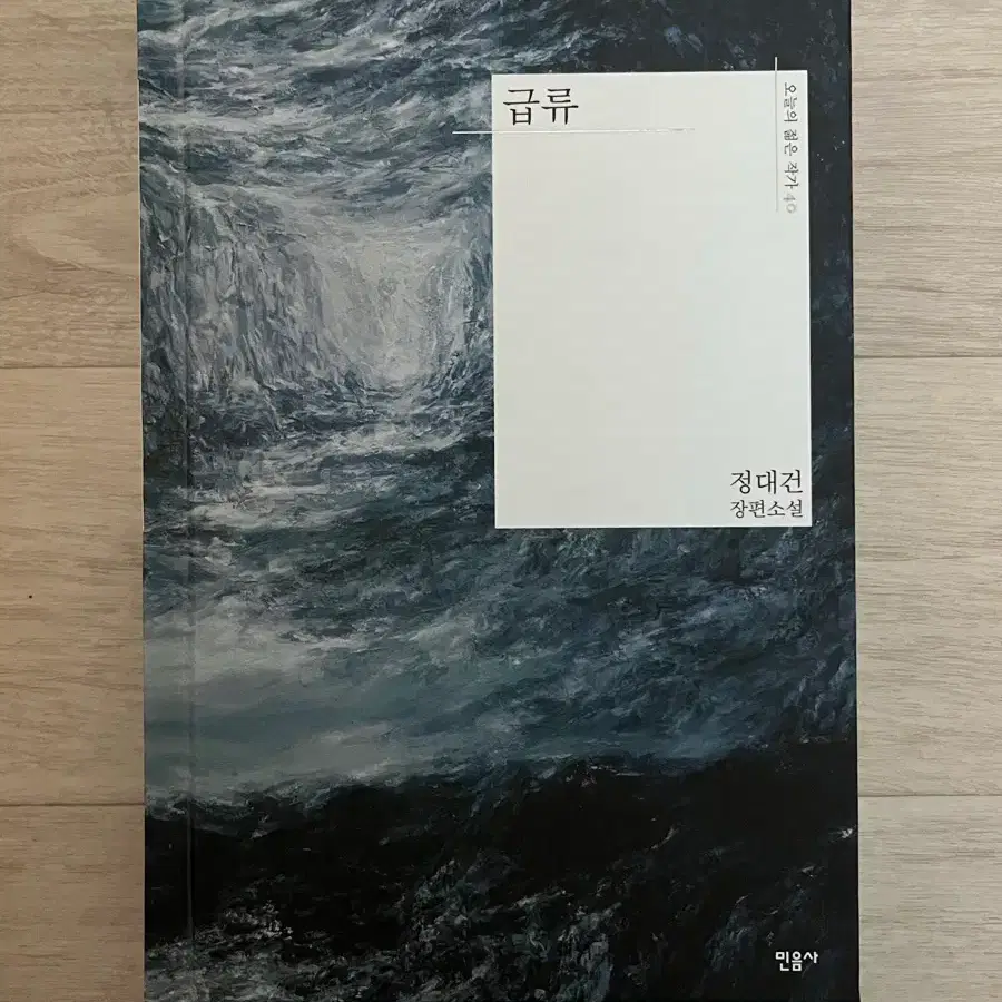정대건 <급류>