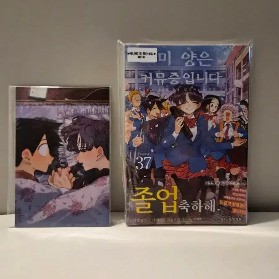 코미 양은 커뮤증입니다 37권+애니메이트특전 +추가특전