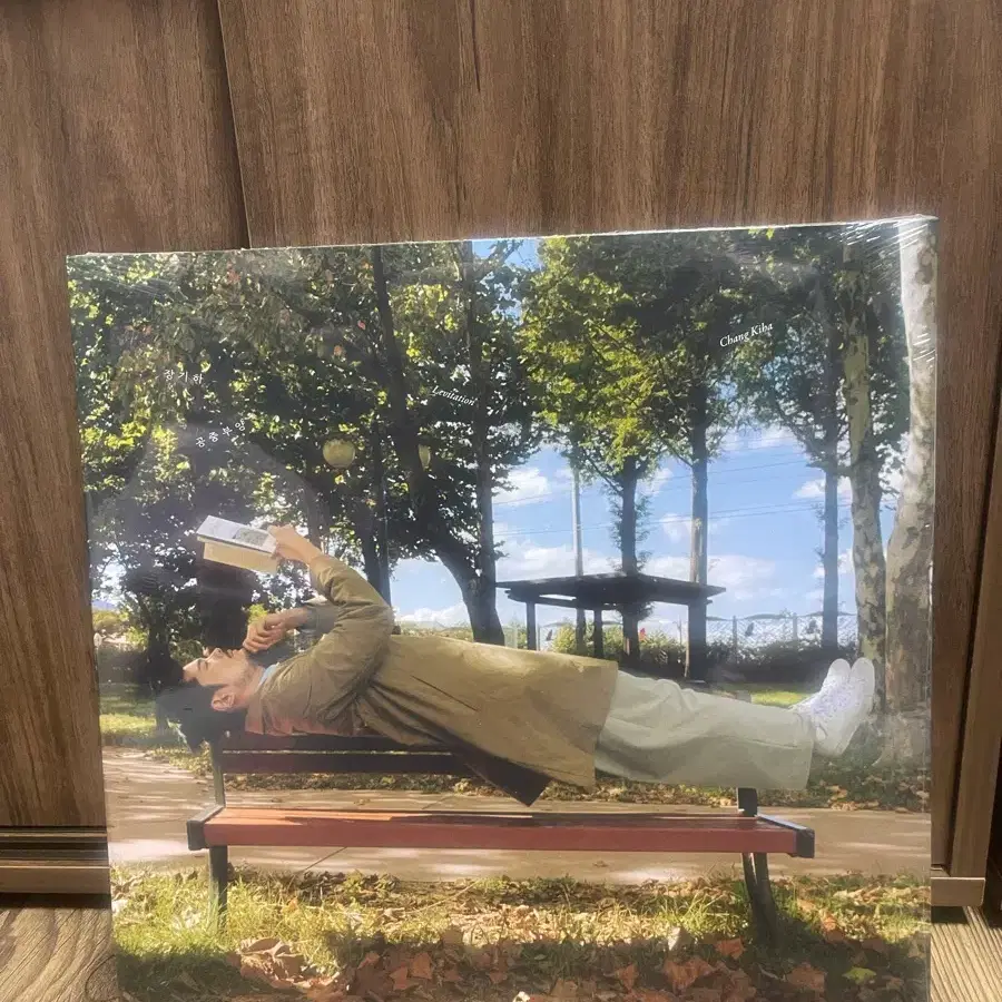 미개봉] 장기하 - 공중부양 LP 판해 합니다
