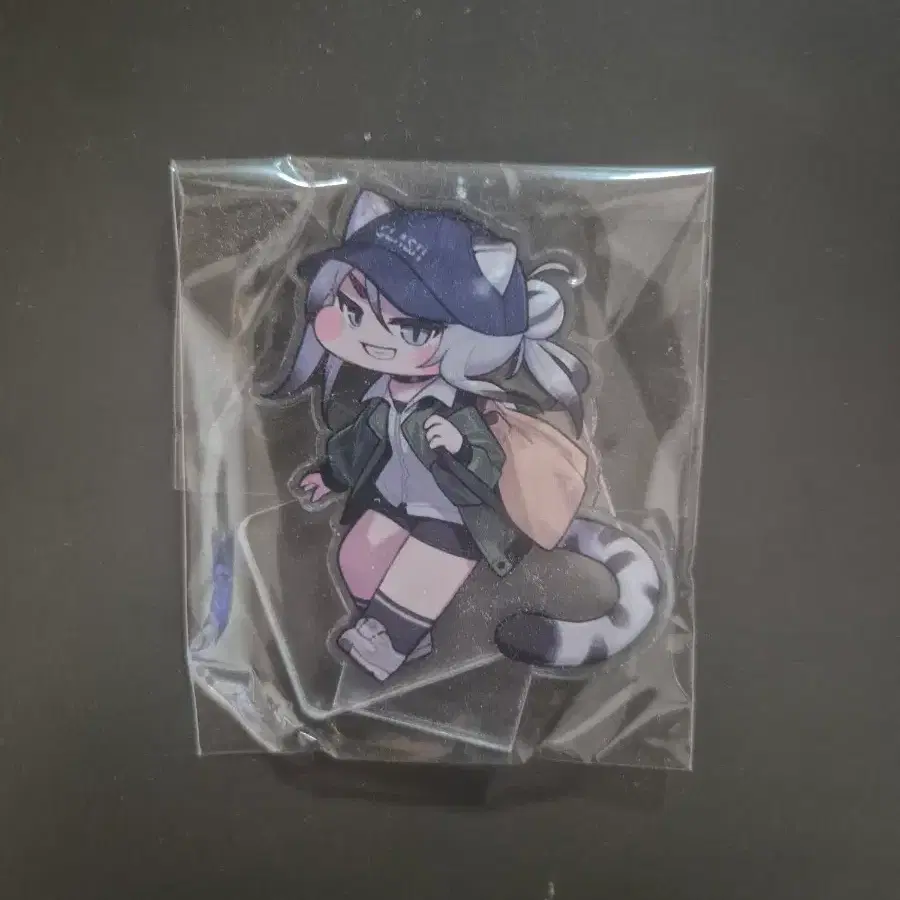 트릭컬 에피드의 공식 입장이 아닙니다 서코 티그 스탠드