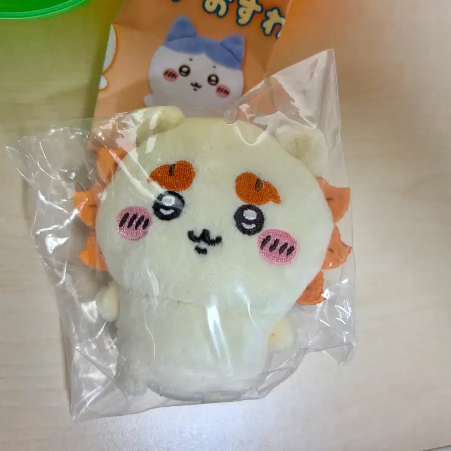 치이카와 앉은누이 시사 미개봉