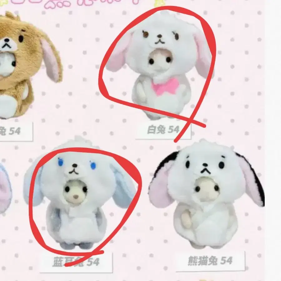 일괄가격) 실바니안 옷 시로우사 / 산리오 토끼 강아지 고양이 인형 직립 개체 아기