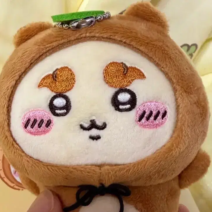 치이카와 너구리_시사