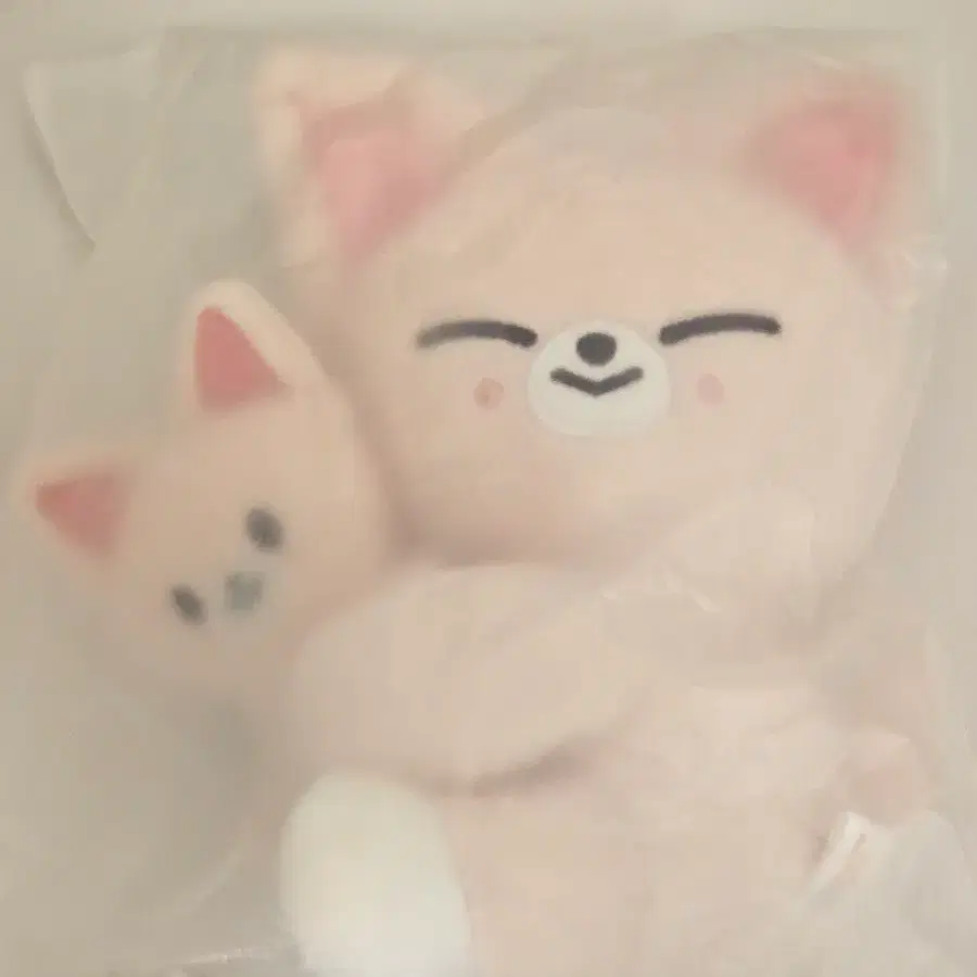스키주 폭시니 마그넷 플러쉬 세트 MAGNET PLUSH SET