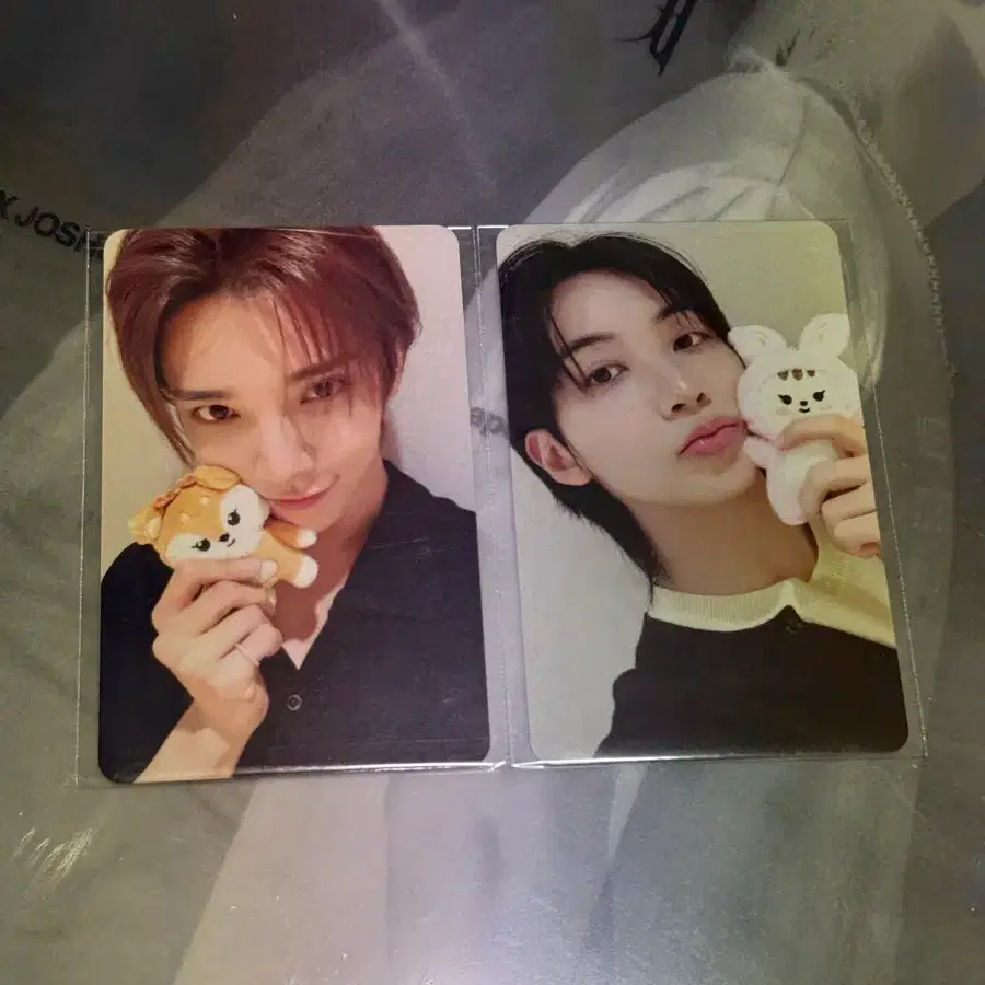 세븐틴 정한 조슈아 팝업 하이브 럭드 럭키드로우 포카세트 판매