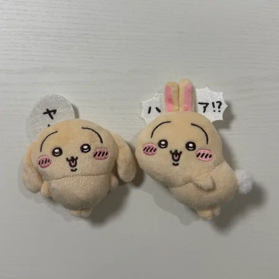 우사기 투성이쿠지 일괄