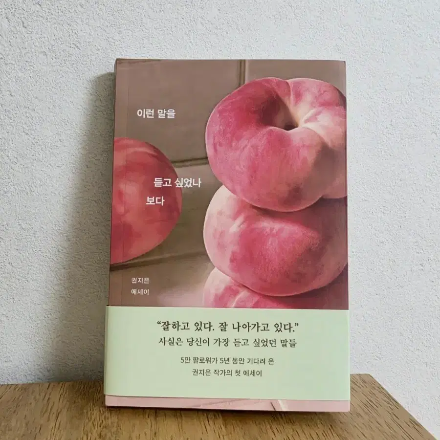 권지은 에세이 이런 말을 듣고 싶었나 보다