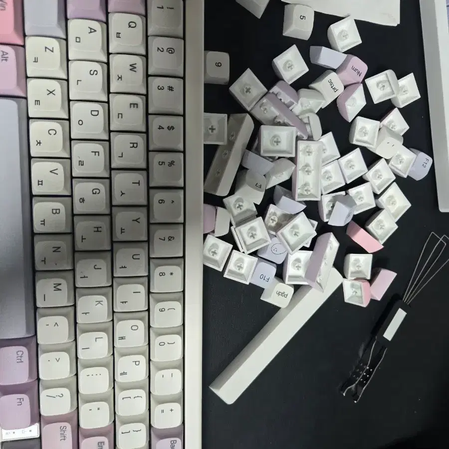 gmk67 키보드 + 블루밍 키캡
