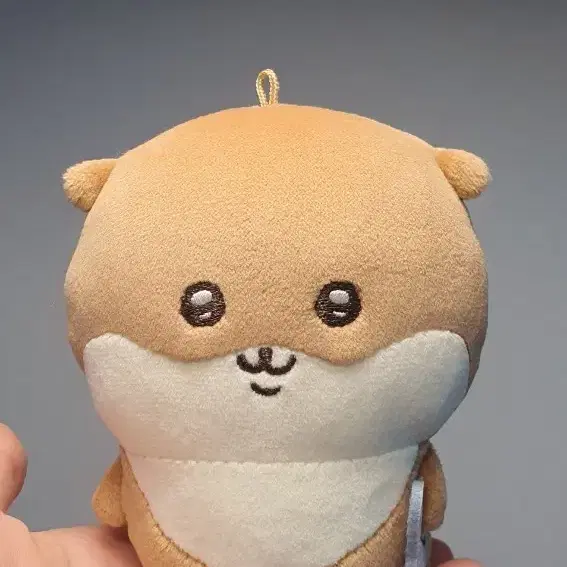 인하X)원영 개체 치이카와 작가 나가노 수달 쿠지 마스코트 D상