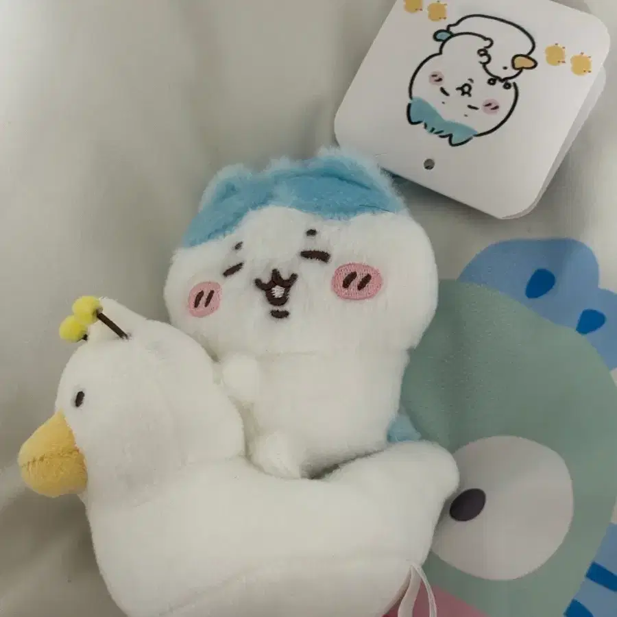 베이비 하치와레 정품
