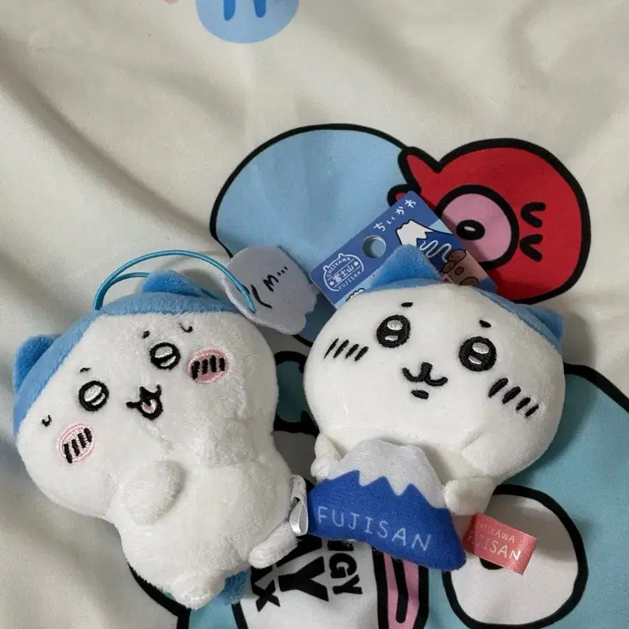 후지산 지역한정 하치와레 일괄 정품