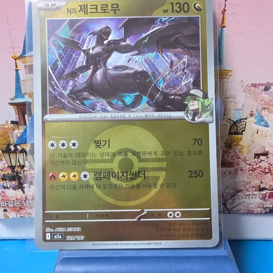 포켓몬카드 제크로무 몬스터볼 홀로