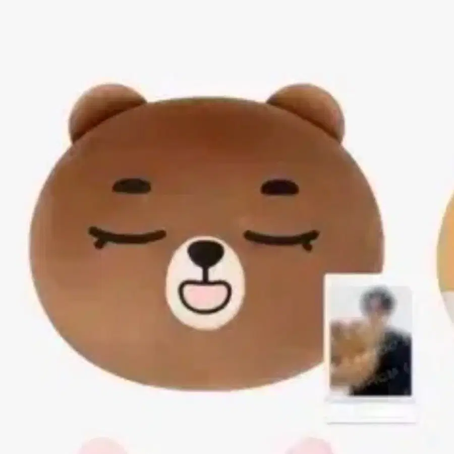 데이식스 데니멀즈 페이스쿠션 얼굴쿠션 방 단순개봉 폴라포함 판매