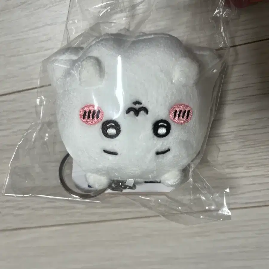 치이카와 파크 유령 마코 (치이)