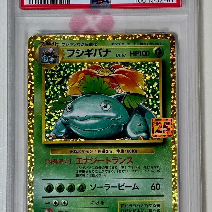 포켓몬카드 일판 25주년 이상해꽃 PSA 10 사진 1