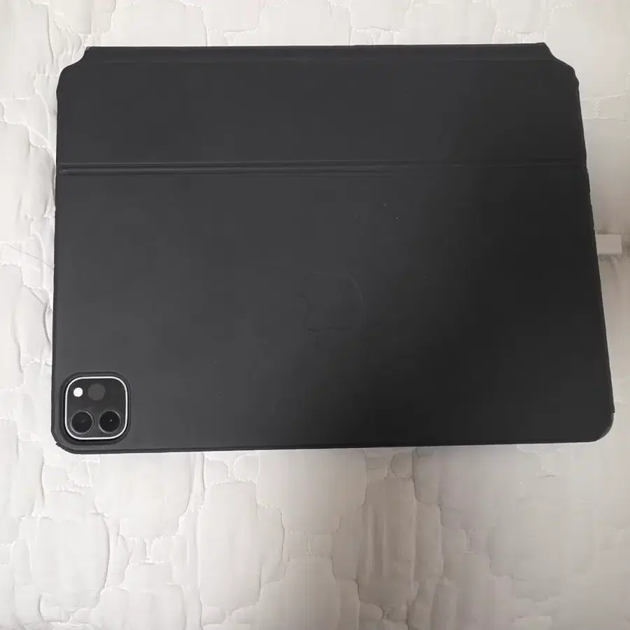 아이패드프로11인치 2세대 256g wifi+cell