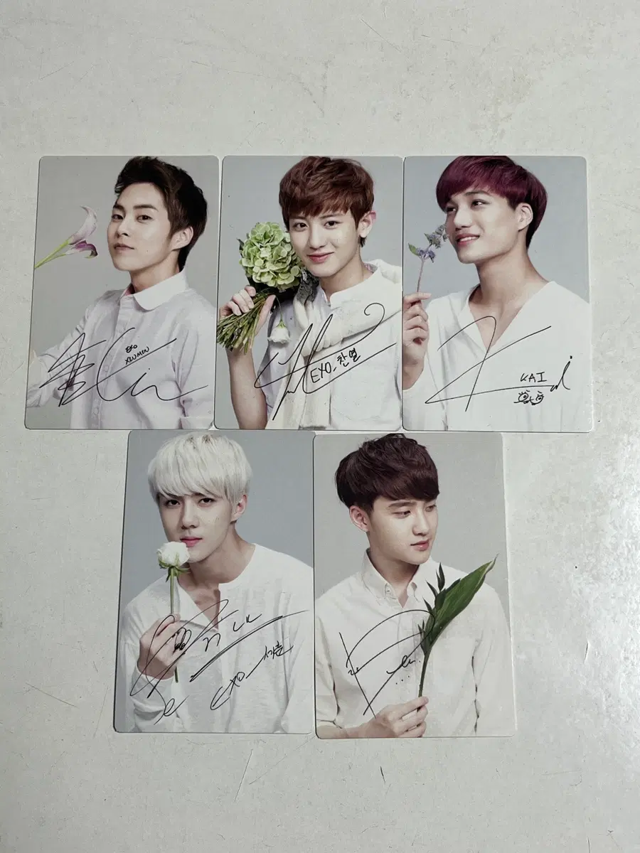 Exo Nature Republic poca photocard xiumin chanyeol kai sehun d.o.