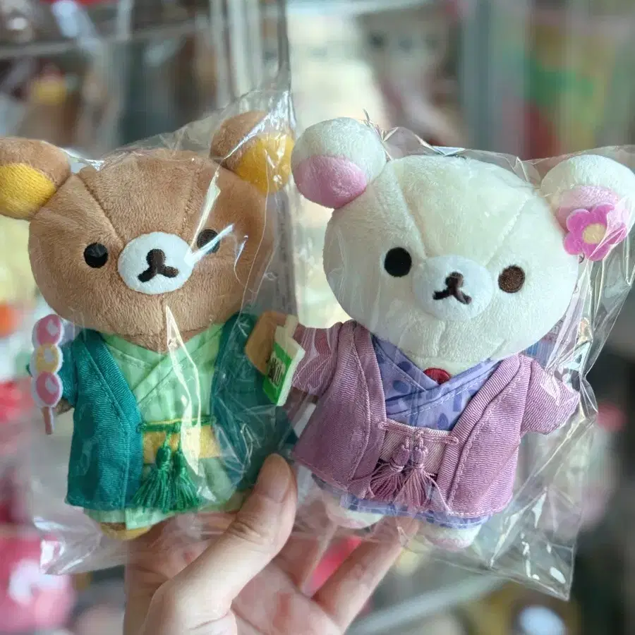 리락쿠마 코리라쿠마 온천(일괄)