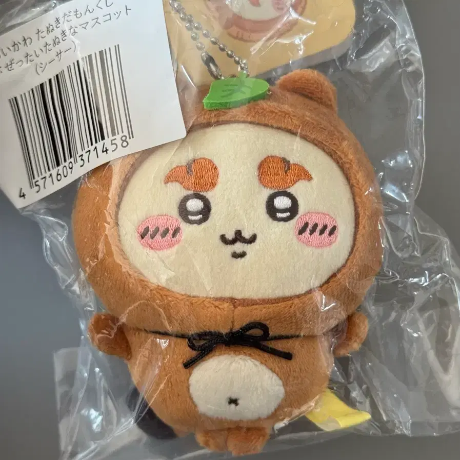 치이카와 너구리 쿠지 c상 너구리 시사