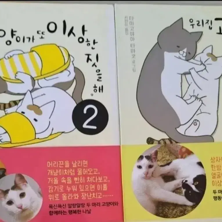 만화책 우리집 고양이가 또 이상한 짓을 해 2권 일괄