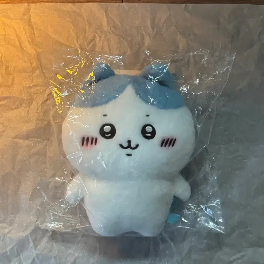 장원영 하치와레 호와호와 빅누이