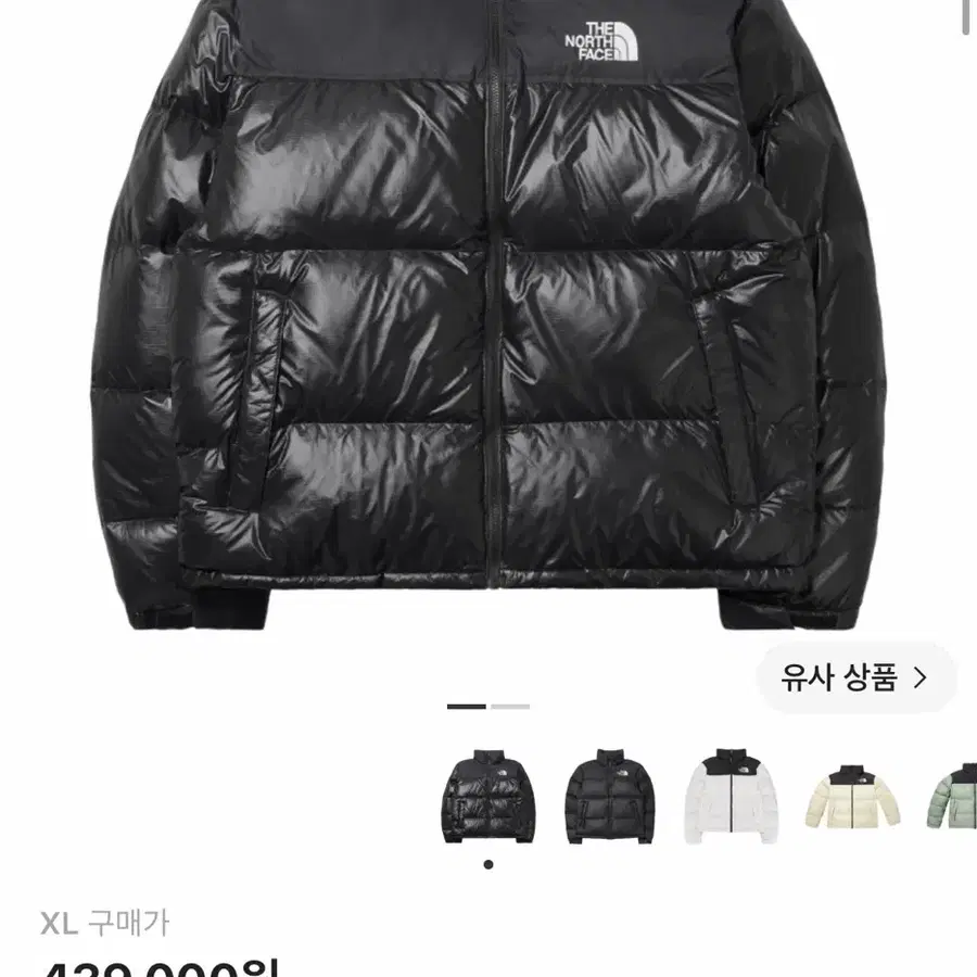 노스페이스 에코 눕시 패딩