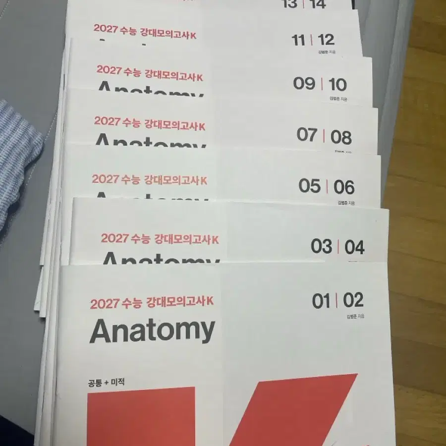 2027 김범준 샘 강 K Anatomy 1-16