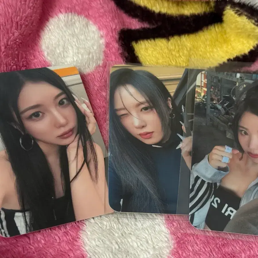 배드빌런 공방 포카 포토카드 3장 일괄