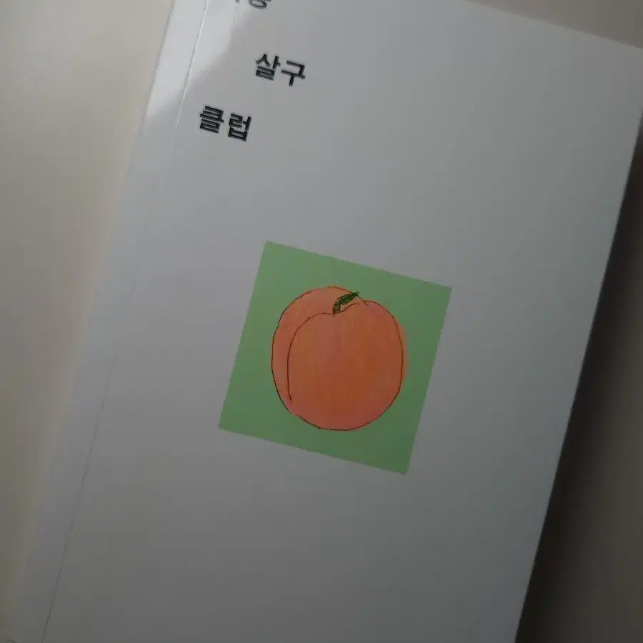자몽 살구 클럽 한로로 책 싸게 팝니다!