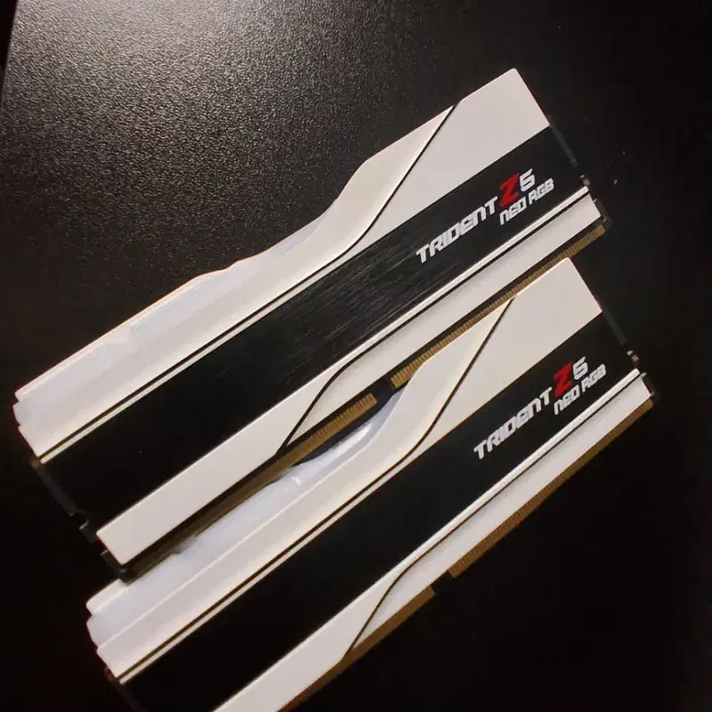 서린 정품 G.skill 트라이던트 DDR5 64G