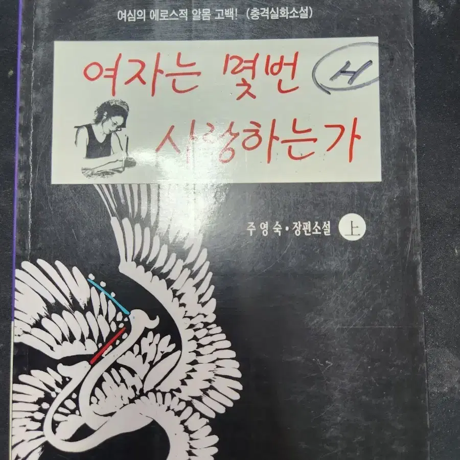 여자 는 몇번 사랑하는가 (장편소설)